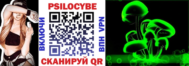 Галлюциногенные грибы Psilocybine cubensis  Челябинск 